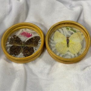 vintage bamboo and pressed butterfly coasters.